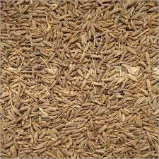 Cumin seeds