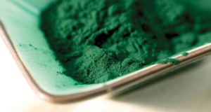 Spirulina Powder